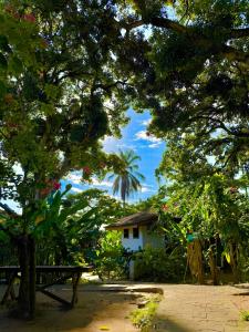Pousada Coco Dendê