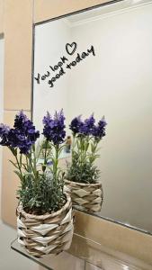 K3 APARTAMENTY LUBLIN Old Town