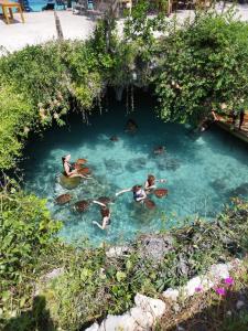 Dolphins and Turtles apartment