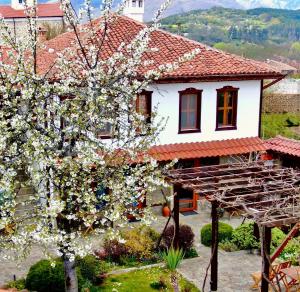 Iliikova House