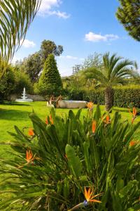 CozyDama Family Retreat - Pool & Garden