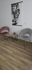 Flat Rafailovic One minute to Beach