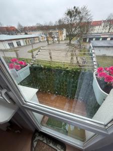 Apartament MIRO
