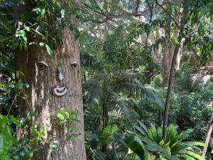 Neutral Bay Stunning Two Bedroom Apartment
