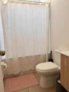 Departamento estilo nordico punta puyai