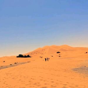 Merzouga activités luxurycamp