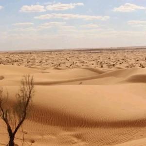 Merzouga activités luxurycamp
