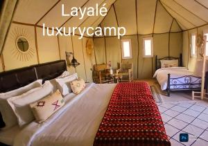Merzouga activités luxurycamp