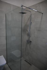 Tirana Rent Rooms 3