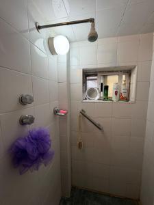Apartment near Azteca Stadium- Coyoacan