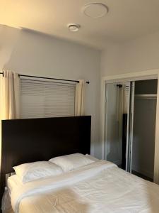 Wyatt Modern Suite