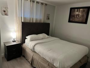 Wyatt Modern Suite