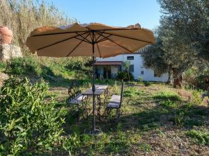 House Sogni di Giove with private pool