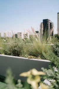 R&R Luxury Loft Providencia GDL