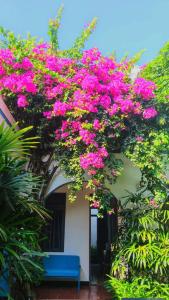 Tropical Homestay Phu Yen
