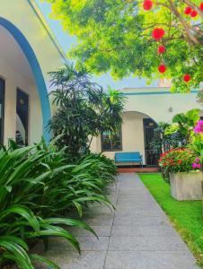 Tropical Homestay Phu Yen