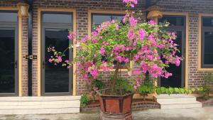 Hana Homestay