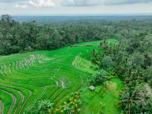 Villa Meraki Manikyang Tabanan by The Travel Ubud Bali