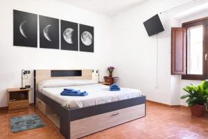 Domus - Home & Kitchen - Appartamento Luna Sardara