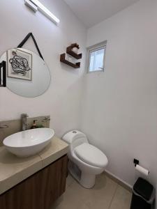 Casaaurea