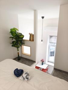 Studio apartments in Dob utca 106