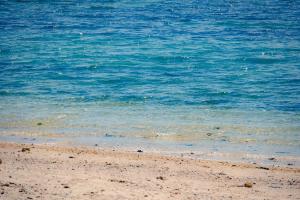 ZenAbode Onna 8 min walk to the beach BBQ in the large garden