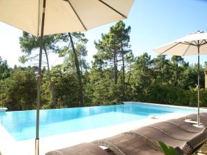Apartment in Montauroux with Pool & Forest Views