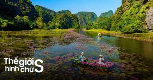 Tam Coc Hung Ha Homestay