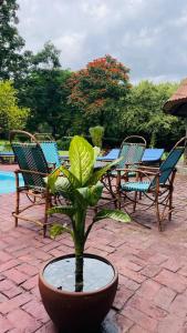 Kitunduni Lodge
