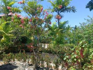 5 Bedroom house in Poblacion Cebu