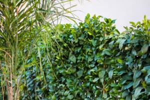 Palasea Apartment - Happy Rentals