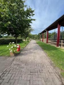 Wills ranch - Lucky Lukes Hideway