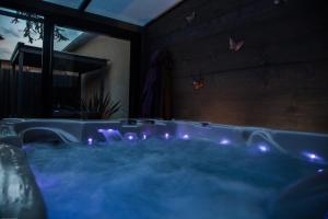 Maisons de vacances Spa privatif Toulouse Jacuzzi : photos des chambres