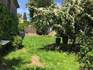 Maison vigneronne avec jardin et piscine