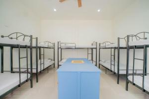 Libertys Homestay Shared Dormitory