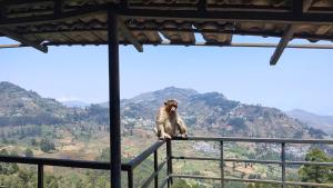 sangamithra misty villa