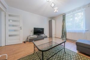 Comfort Apartment near Old Town Bema