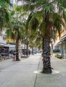 Cattolica Vista Mare Apartment - Il Lupo Affitta