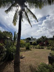Cabañas Anariki