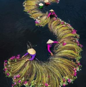 Tam Coc Hung Ha Homestay