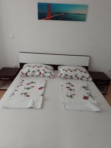 Apartments Antonia in Novalja