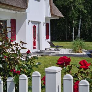 Das Ferienhaus Silbermöve