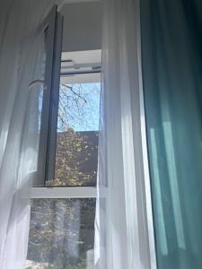 Lemon Apartment pl Wolności 6