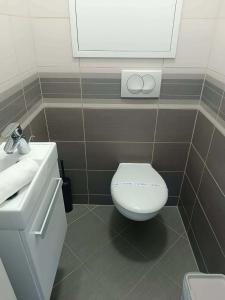 Urban Garden Apartment