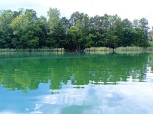 Mazury na Miedzy