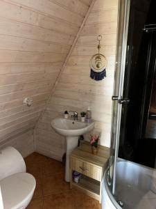 Leśny Domek nad Złotym Potokiem - Góry Opawskie