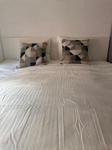 4-Bed Apartment Central Zurich