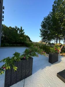 JADORE DUNE Apartment 9 Pool and Beach - Sunny Beach