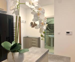 Mina Apartment