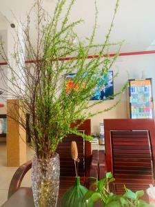 Hotel Hai Thanh 2